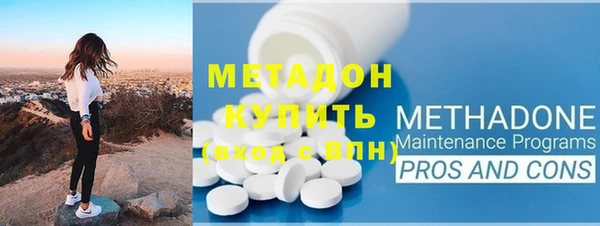 прущие грибы Белокуриха