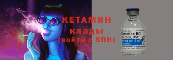прущие грибы Белокуриха