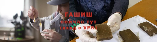 прущие грибы Белокуриха