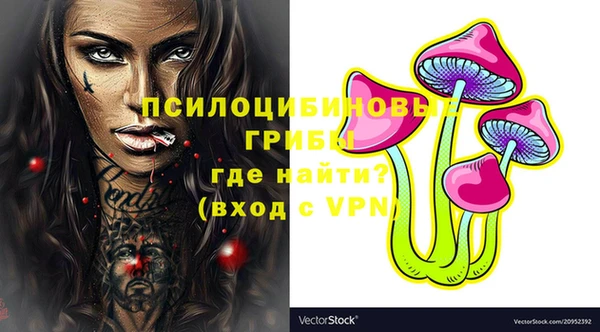 PSILOCYBIN Белоозёрский