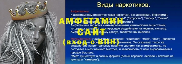 прущие грибы Белокуриха