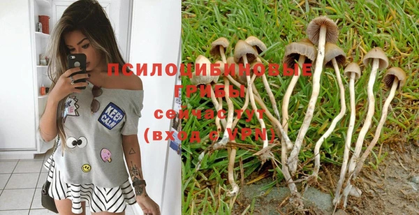 PSILOCYBIN Белоозёрский