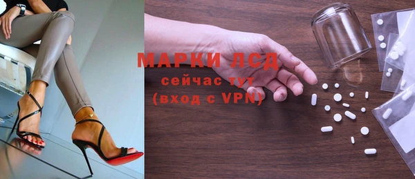 прущие грибы Белокуриха