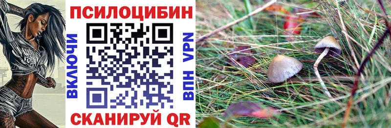 МЕГА онион  Свободный  Галлюциногенные грибы Psilocybe 